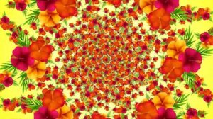 Футаж Цветочный калейдоскоп Красивый фон для монтажа