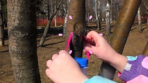 Мультик про Сашу и скворечники для птиц | Sasha Nice