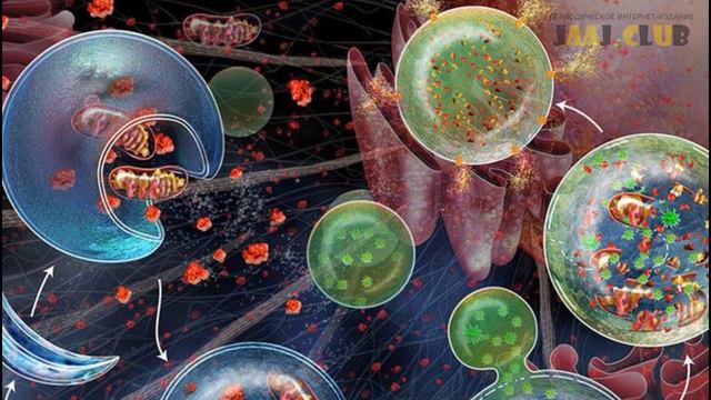 Японский профессор открыл процесс каннибализма в клетках смотреть онлайн