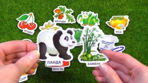 Развивающая игра видео для детей "КТО ЧТО ЕСТ?" про животных/ смотрим и  играем/