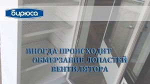 Ремонт холодильников Бирюса