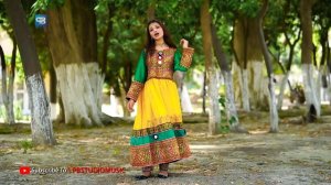 Pashto Songs 2021 | Tawezona | Pashto Songs Sania Aftab Afghani Music | پشتو HD |  Song Attan