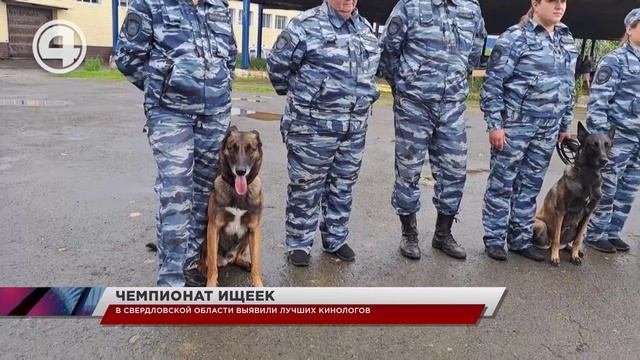 В Свердловской области выявили лучших кинологов