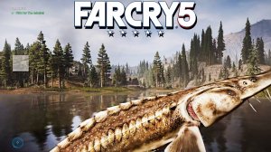 АДМИРАЛ | ПРОХОЖДЕНИЕ FAR CRY 5 БЕЗ КОММЕНТАРИЕВ