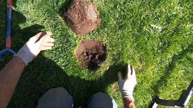 LIVE DIG ACTION!! Nokta Legend v1.06 vs Deus 1 X35 pitch tones. смотреть онлайн