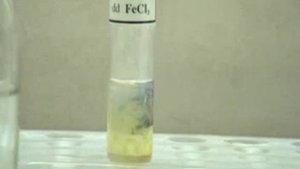 FeCl3 + H2S