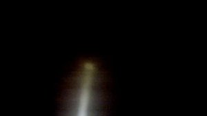 Нерест налима