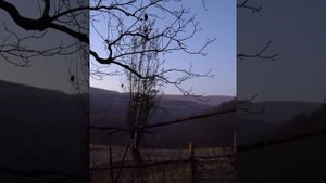 Мухаммад Абу Усама- приоритеты