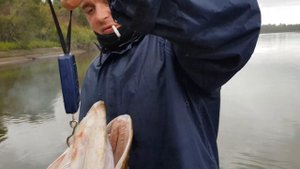 Рыбалка в Красноярском крае. р Чулым, Промбор - Сопка.