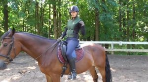 Лошадь не хочет останавливаться. Как выполнить переходы в шаг с рыси.