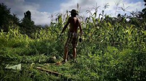 Подготовка участка к строительству дома: этапы работ