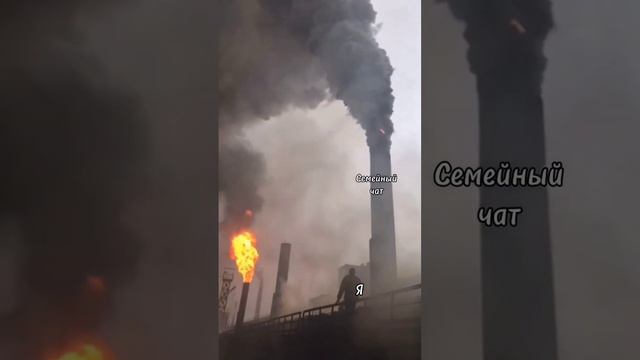 Скачать видео можно в нашем Telegram канале, ссылка на Telegram в шапке профиля. смотреть онлайн