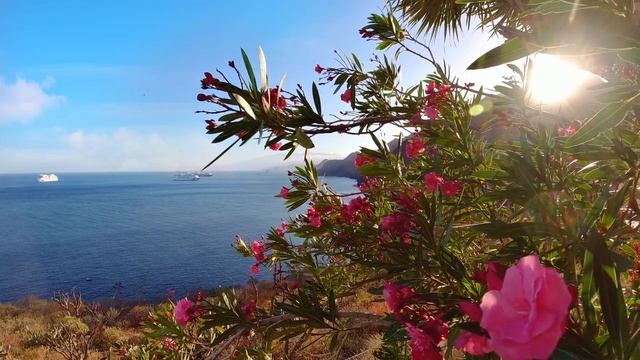 Не было бы счастья, да несчастье помогло.mp4 смотреть онлайн