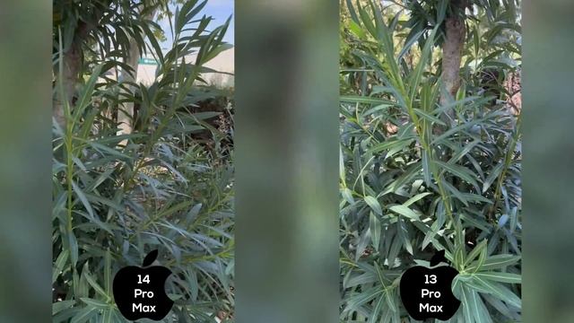 iPhone 14 Pro Max vs iPhone 13 Pro Max ? EL MEJOR Apple iPhone DEL MUNDO!! смотреть онлайн