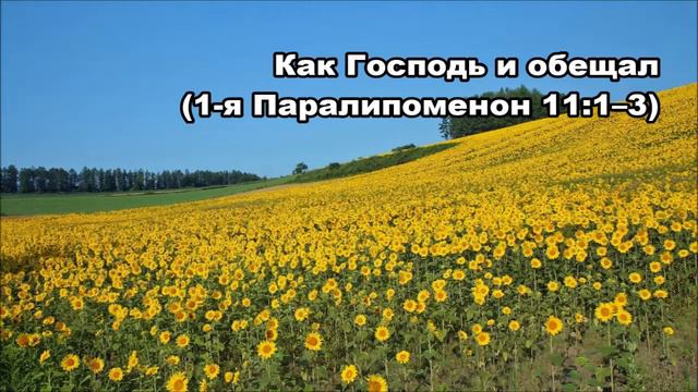 Тихое время с Живой Жизнью: 1 Паралипоменон 11:1–9 (25082018) смотреть онлайн