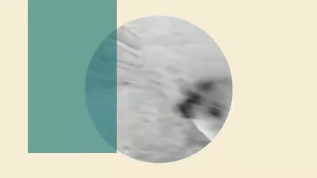 Мой монстр / моя собачка / Аврора смотреть онлайн