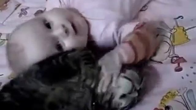 Котик очень дружен с малышем смотреть онлайн