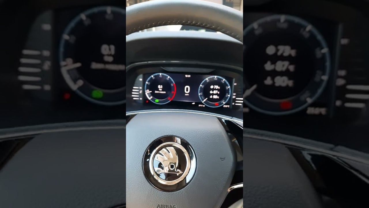 Skoda: Мудрость Шкодавода из Калининграда (2022)