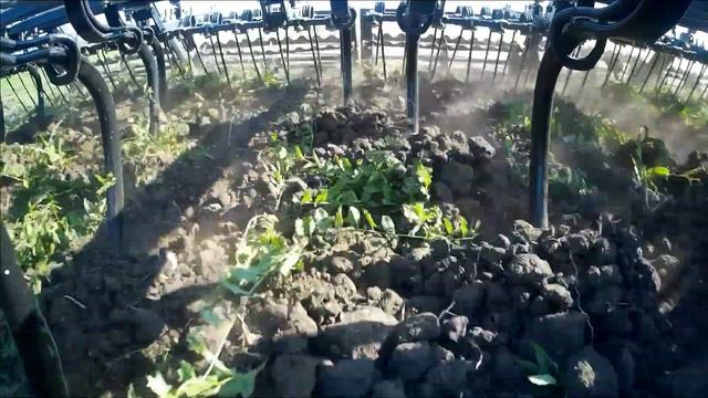 Культиватор для предпосевной обработки почвы КПП - 8 (Компания Сармат) смотреть онлайн