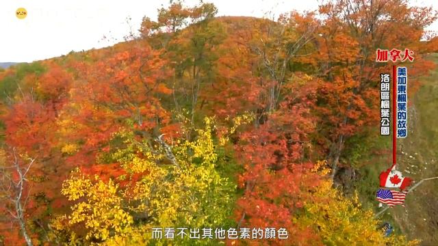 最美空拍-加拿大楓葉大道系列