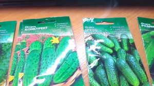 Огурец Братец Иванушка, F1, канал Дзен Дом, где всем хорошо