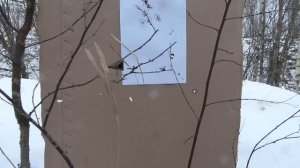 Сайга 5.45 vs 7.62 на практике