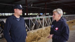 Установка вентиляции в коровнике | Оборудование фермы | Реконструкция коровника | Содержание КРС