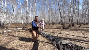 В берёзовом лесу!