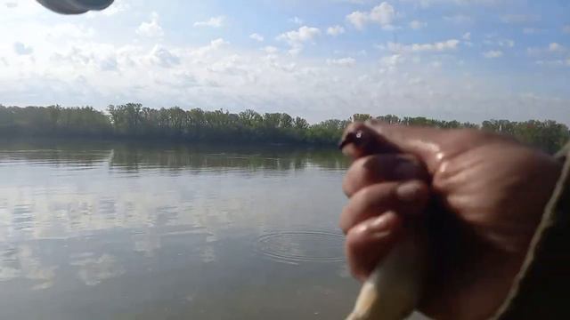 РЫБАКЛА ВЕСНОЙ на РЕКЕ, рыбалка на ПОПЛАВОК #рыбалка #Рыбалка_весной #Отдых на природе