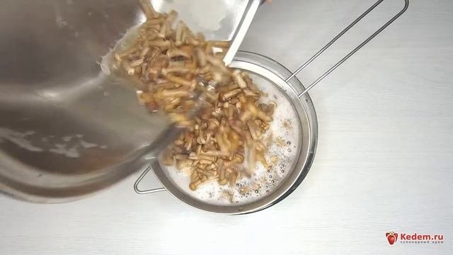 Маринованные опята, малыши в банке — рецепт супер вкусных грибов