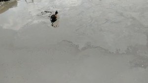 Грязевой ВУЛКАН ШУГО