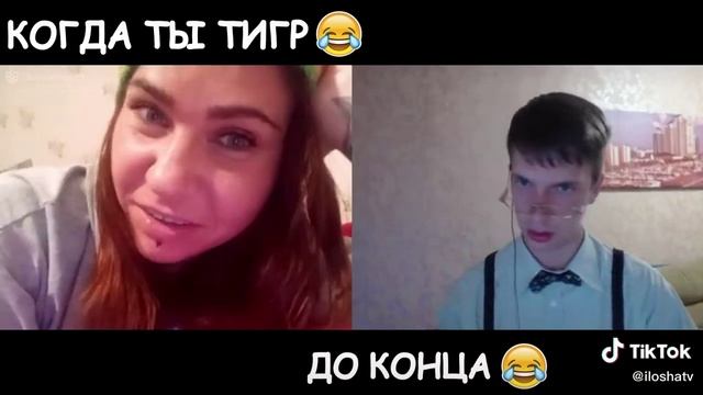 тигр