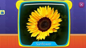 Baby's First Words #11 - Learn Flower Names with Lucas and Ruby! | RV AppStudios Games