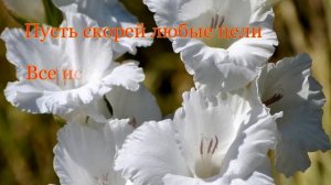 Красивое поздравление с Днем Ангела (именинами) Юлии. Юли, Юлечки, Юлии поздравляю вас с праздником