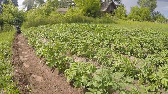 ЛопЛош / Мотокультиватор / Доработка окучника смотреть онлайн