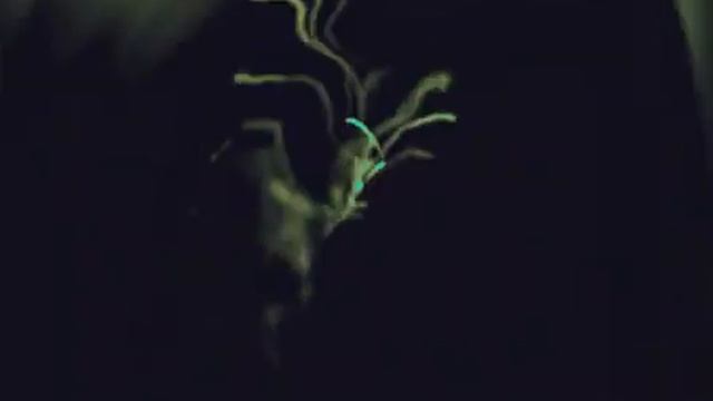 Солженицын - Архипелаг ГУЛАГ - Часть 1 - Главы 7 - 12