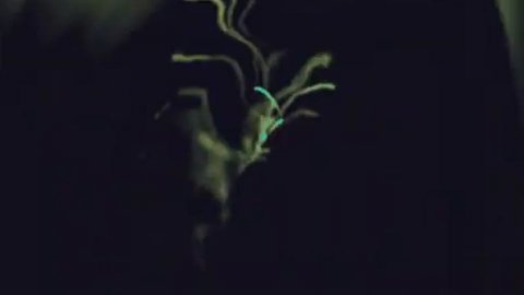 Солженицын - Архипелаг ГУЛАГ - Часть 1 - Главы 7 - 12