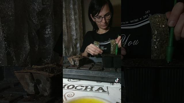 пикирую рассаду лобелии