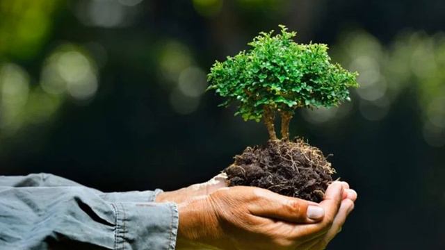 Проблемы взаимодействия человека и природы смотреть онлайн