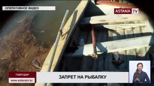 В Павлодарской области с 10 мая по 20 июня вводится запрет на все виды рыбалки