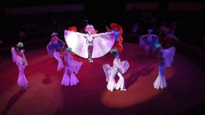 Карина Кардаш 13 12 2020 Новогодний карнавал в цирке