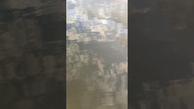 небо под ногами #travel #nature #sup #сап #сапборд #boat #lake #закат #sunset смотреть онлайн