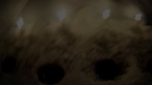 ЛОВЛЯ КАРАСЯ ЗИМОЙ на УДОЧКУ.Зимняя рыбалка на карася. Как ловить карася зимой. Рыбалка с ночевой.