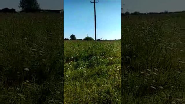 Щенок алабая (7 мес.) на прогулке смотреть онлайн