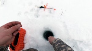 Форелевая рыбалка на платном водоеме в Кокино.Зимой ловить со льда.Часть 1.