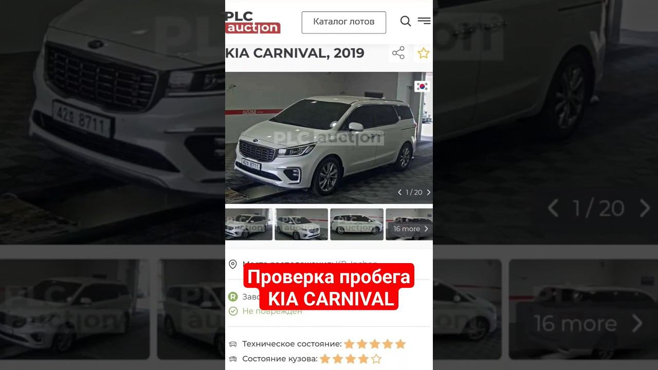 Пробеги на машинах из Кореи: сколько мотают и зачем? #автоподбор#краснодар#kiacarnival
