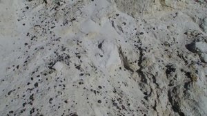 Зубы ископаемых акул и окаменевшие улитки в песчаном карьере