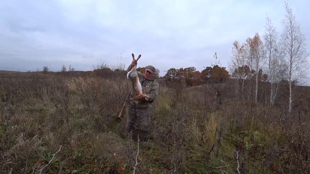 Сезон открыл. Охота на зайца 2023 10 25 смотреть онлайн