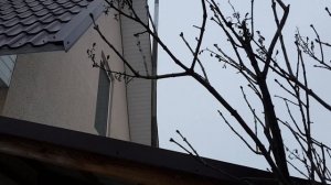 Cleaning chimney using a leaf blower Чистка дымохода пылесосом для листьев