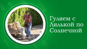 Прогулка по ул. Солнечная г. Краснодар